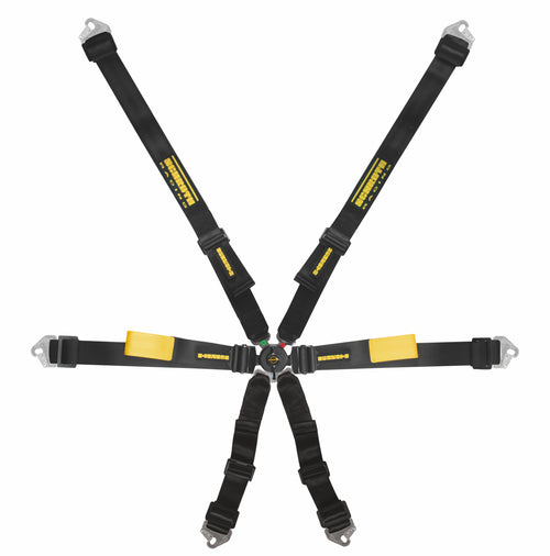 Schroth Enduro 2x2 Harness